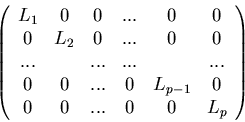 \begin{displaymath}\left (
\begin{array}{cccccc}
L_1 &0 &0 &... &0 &0\\
0 &L_2 ...
...&... &0 &L_{p-1} &0\\
0 &0 &... &0 &0 &L_p
\end{array}\right )\end{displaymath}