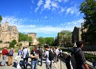 IMG 7089