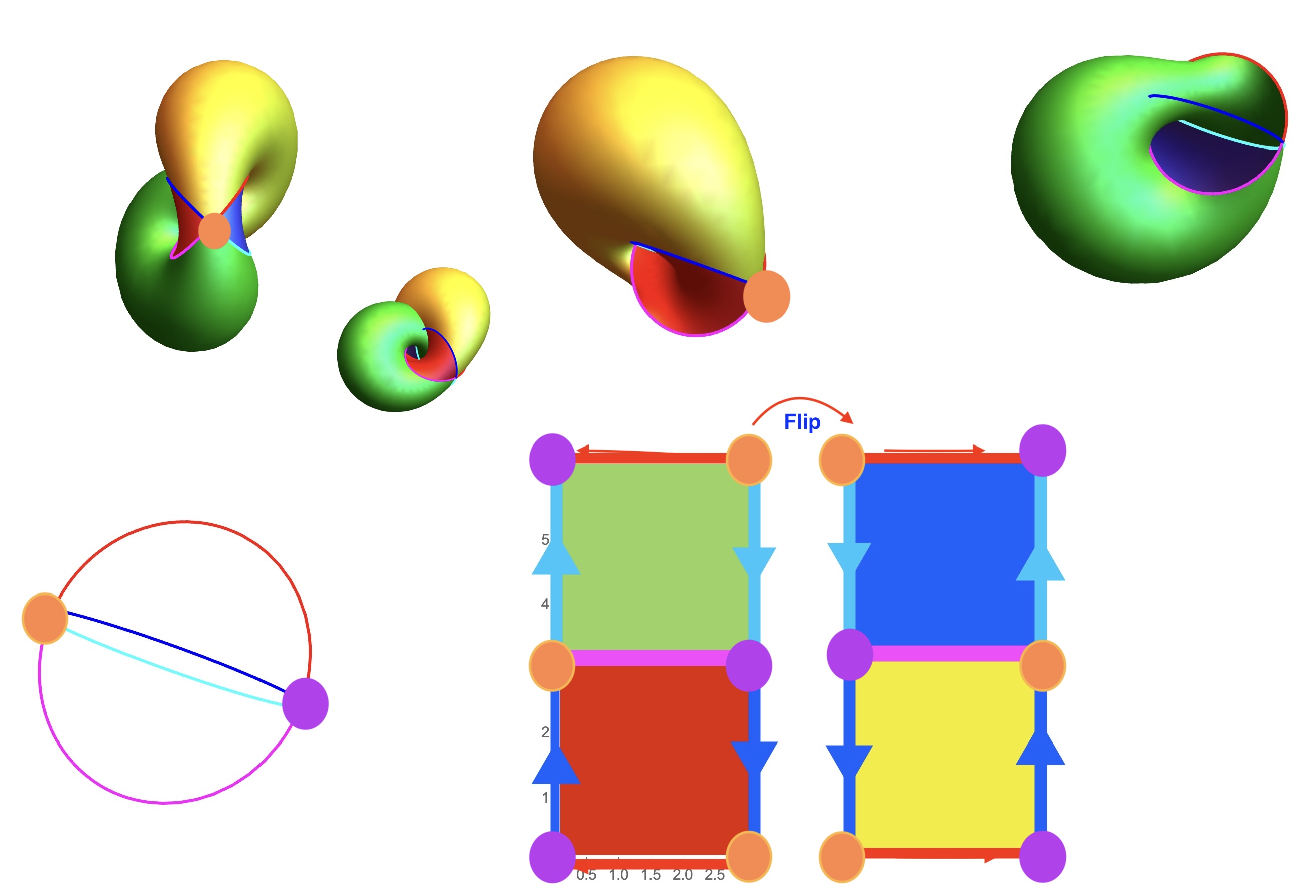 Rotation of the  Projection Pole
