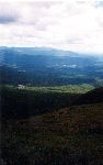 Shenandoah National Forest; Thanksgiving '98