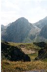 A flock of sheep in Haute Savoie highlands, France
