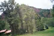 A vista of Aspen