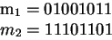 \begin{eqnarraystar}m_1&=&01001011\\ m_2&=&11101101 \end{eqnarraystar}