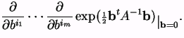 $\displaystyle \frac{\partial}{\partial b^{i_1}}\cdots \frac{\partial}{\partial ...
...criptstyle\frac{1}{2}}{\bf b}^tA^{-1}{\bf b})_{\textstyle \vert _{{\bf b} =0}}.$