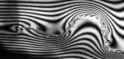 flapping filament