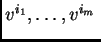 $ \< v^{i_1}, \dots , v^{i_m}\> $