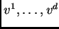 $ v^1, \dots, v^d$