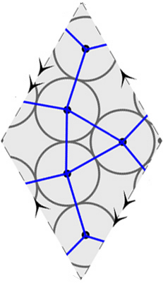 5 circles on triangular torus