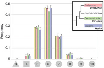 
distribution of polygon types