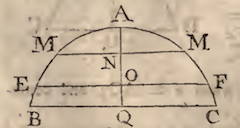 section of sphere